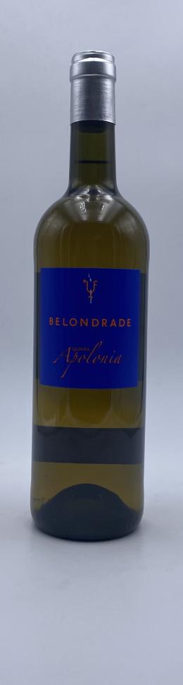 207   -  Belondrade Quinta Apolonia 2022 Blanco