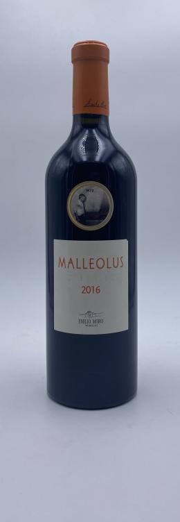 32   -  Malleolus 2016