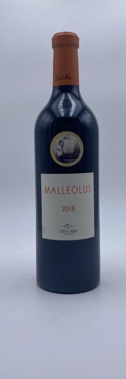 33   -  Malleolus 2018
