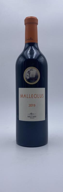 34   -  Malleolus 2019