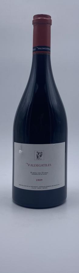 20   -  Dominio de Atauta Valdegatiles 2009 Single Vineyard